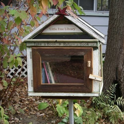 Little Free Library