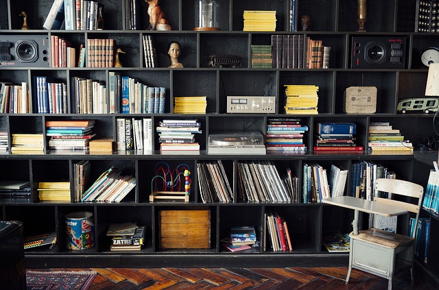 Books on a black book shelf