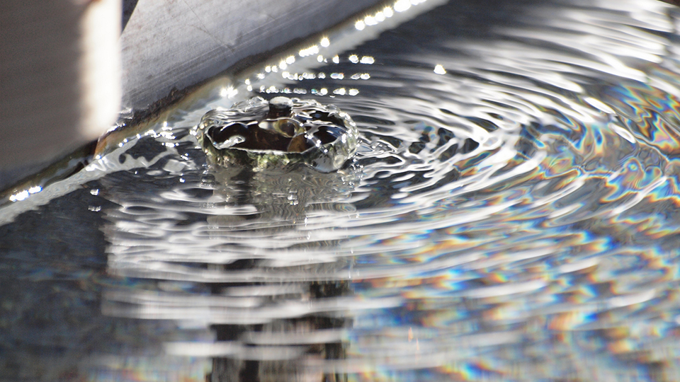 coniferconifer, “water ablution pavilion,” November 30, 2013