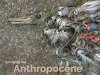 The cover to Surveying the Anthropocene: Environment and Photography Now