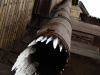 A photograph of a pipe with ice emerging from it, shot from below