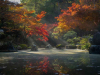 A photograph of a lake surrounded by trees in fall foliage