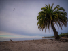 Refugio Beach. Photo by David Cantu.