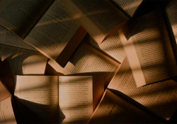 A photograph of a number of books open in a pile on a desk ribboned with shadow