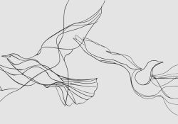 A spare line drawing suggesting avian form