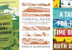 The cover to three books chosen by readers to understand climate change